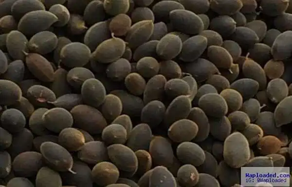 99% Of People Who Love This Popular Fruit Snack Don’t Know The Real Name, Do You? [Tell Us]